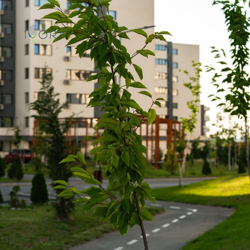 Pipera Rond OMV